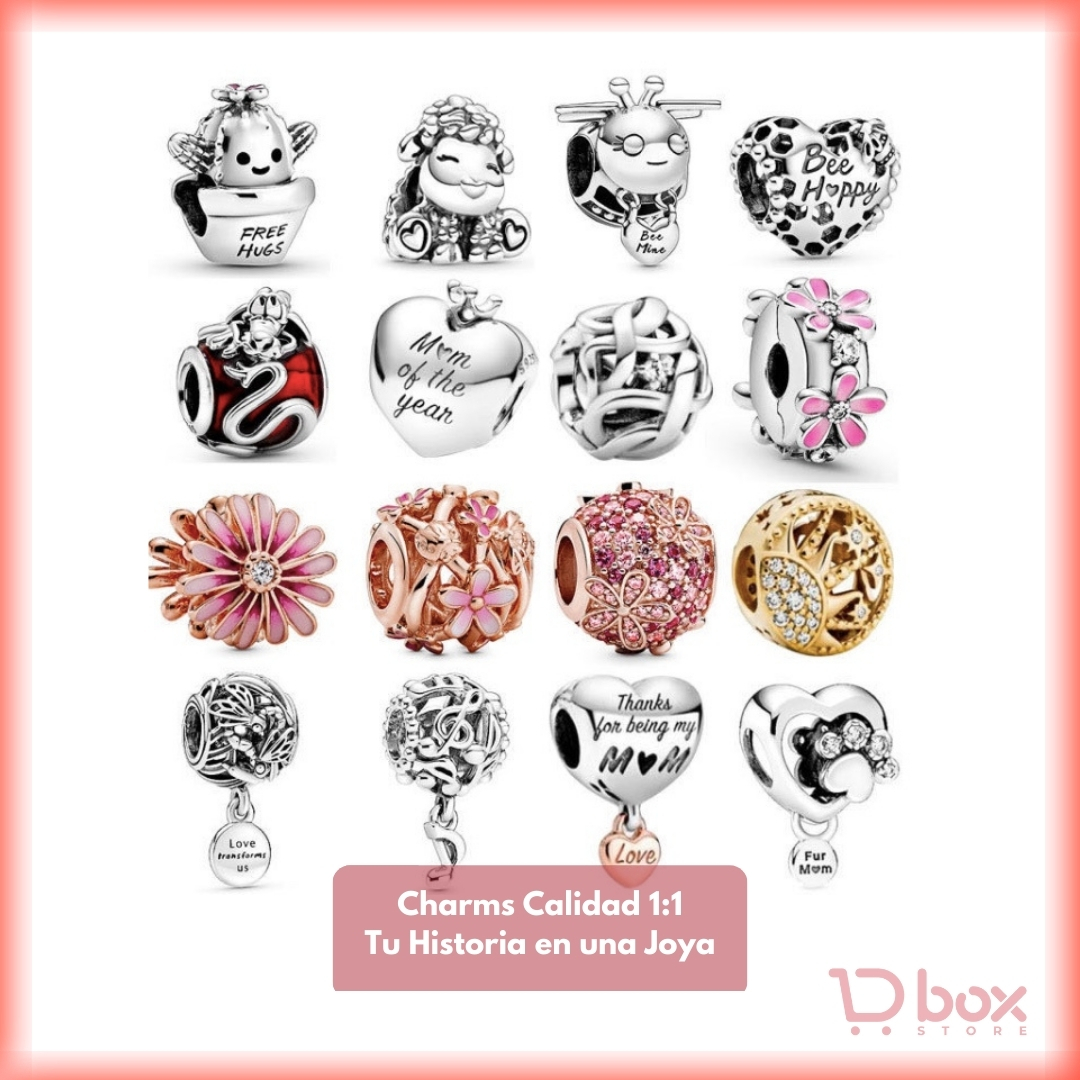 Charms varios diseños